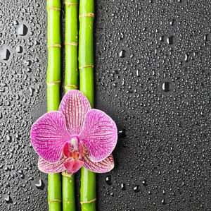 Meet your Posher, Melanie